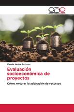 Evaluación socioeconómica de proyectos