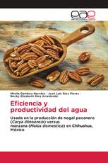 Eficiencia y productividad del agua