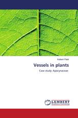 Vessels in plants