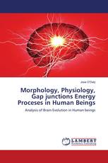 Morphology, Physiology, Gap junctions Energy Proceses in Human Beings