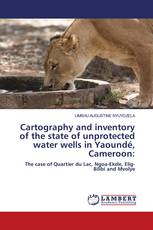 Cartography and inventory of the state of unprotected water wells in Yaoundé, Cameroon: