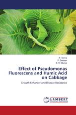 Effect of Pseudomonas Fluorescens and Humic Acid on Cabbage