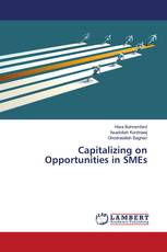 Capitalizing on Opportunities in SMEs