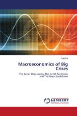 Macroeconomics of Big Crises
