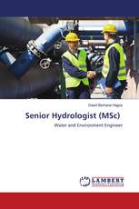 Senior Hydrologist (MSc)