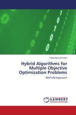 Hybrid Algorithms for Multiple Objective Optimization Problems