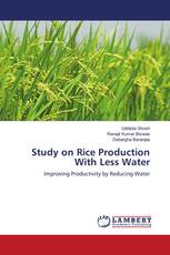 Study on Rice Production With Less Water