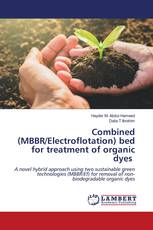 Combined (MBBR/Electroflotation) bed for treatment of organic dyes