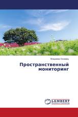Пространственный мониторинг