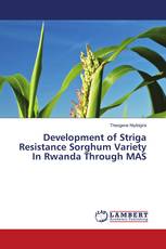 Development of Striga Resistance Sorghum Variety In Rwanda Through MAS