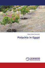 Pistachio in Egypt