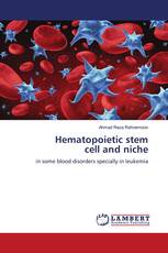 Hematopoietic stemcell and niche
