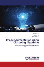 Image Segmentation using Clustering Algorithm