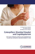 Caterpillars (Kambal Keeda) and Lepidopterism