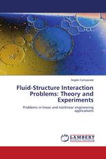 Fluid-Structure Interaction Problems: Theory and Experiments