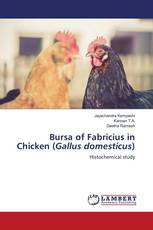 Bursa of Fabricius in Chicken (Gallus domesticus)