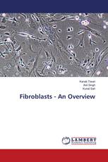 Fibroblasts - An Overview