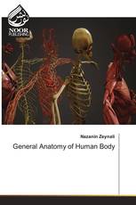 General Anatomy of Human Body