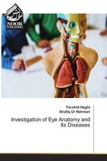 Investigation of Eye Anatomy and Its Diseases