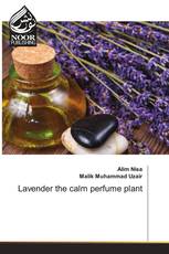 Lavender the calm perfume plant