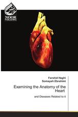 Examining the Anatomy of the Heart