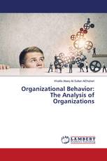 Organizational Behavior: The Analysis of Organizations