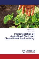 Implementation of Agricultural Plant Leaf Disease Identification Using