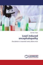 Lead induced encephalopathy
