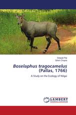 Boselaphus tragocamelus (Pallas, 1766)