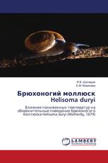 Брюхоногий моллюск Helisoma duryi