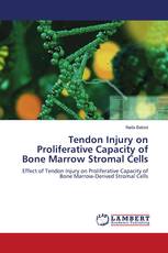 Tendon Injury on Proliferative Capacity of Bone Marrow Stromal Cells