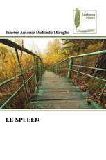 LE SPLEEN