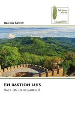 En bastion luis