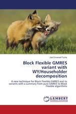 Block Flexible GMRES variant with WY/Householder decomposition