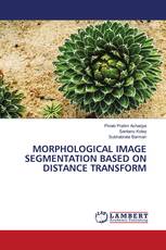 MORPHOLOGICAL IMAGE SEGMENTATION BASED ON DISTANCE TRANSFORM
