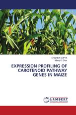 EXPRESSION PROFILING OF CAROTENOID PATHWAY GENES IN MAIZE