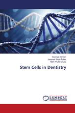 Stem Cells in Dentistry