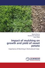 Impact of mulching on growth and yield of sweet potato