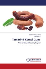 Tamarind Kernel Gum
