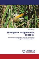 Nitrogen management in popcorn