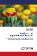 Marigold : A Phytoremediator Plant
