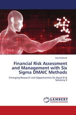 Financial Risk Assessment and Management with Six Sigma DMAIC Methods