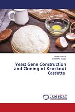 Yeast Gene Construction and Cloning of Knockout Cassette