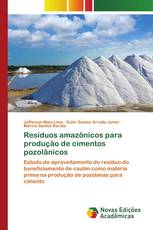 Resíduos amazônicos para produção de cimentos pozolânicos