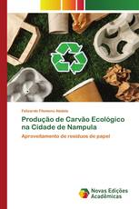 Produção de Carvão Ecológico na Cidade de Nampula