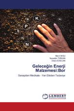 Geleceğin Enerji Malzemesi:Bor