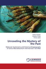 Unraveling the Mystery of the Past