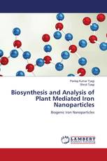 Biosynthesis and Analysis of Plant Mediated Iron Nanoparticles