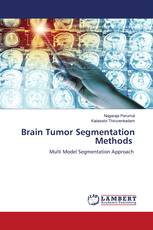Brain Tumor Segmentation Methods