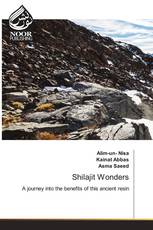 Shilajit Wonders